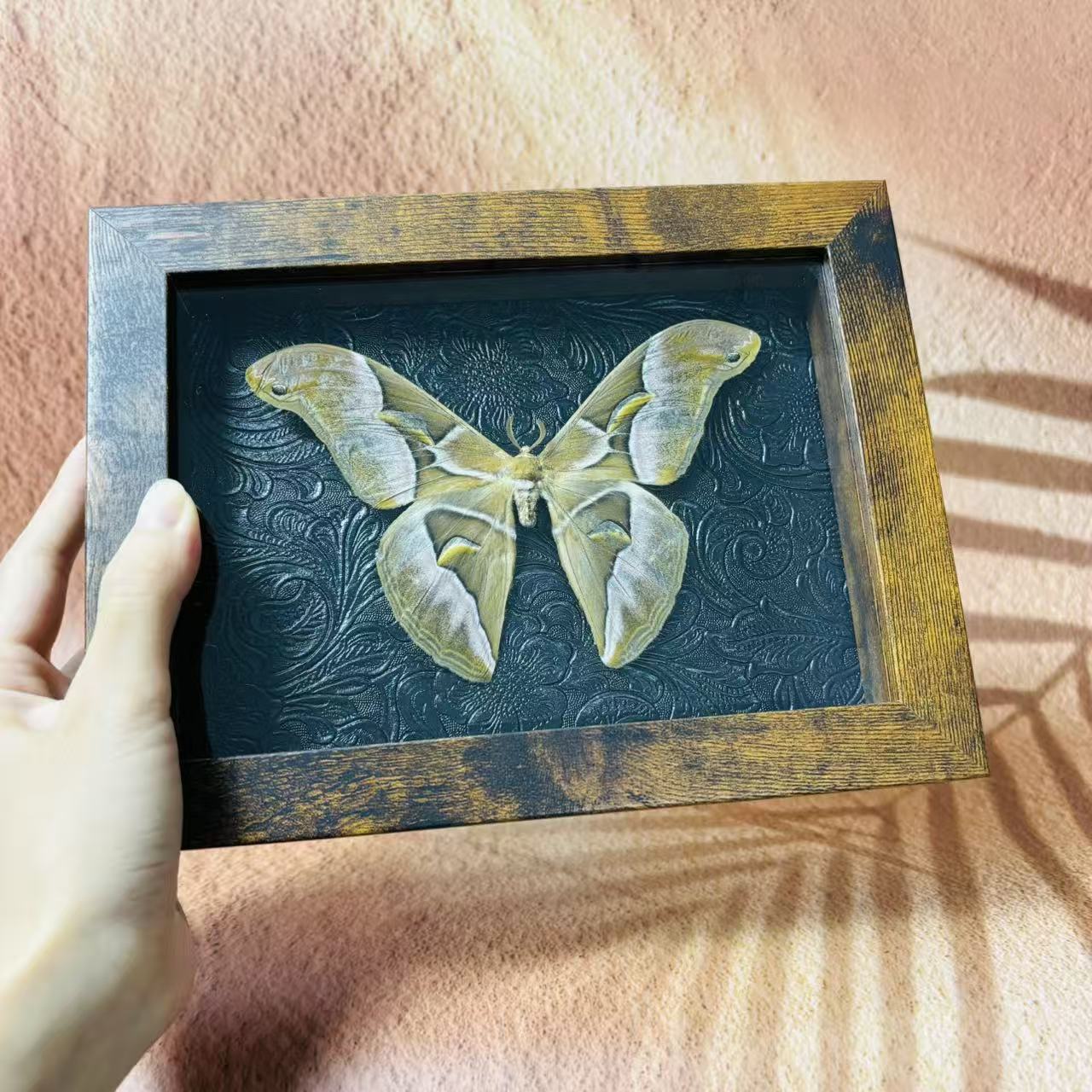 2051 Wholesale series 1/5/10pcs Death-headed Eagle Moth Gift Specimen Painting Gothic Art Creepy Weird Halloween Supplies Silent Lamb