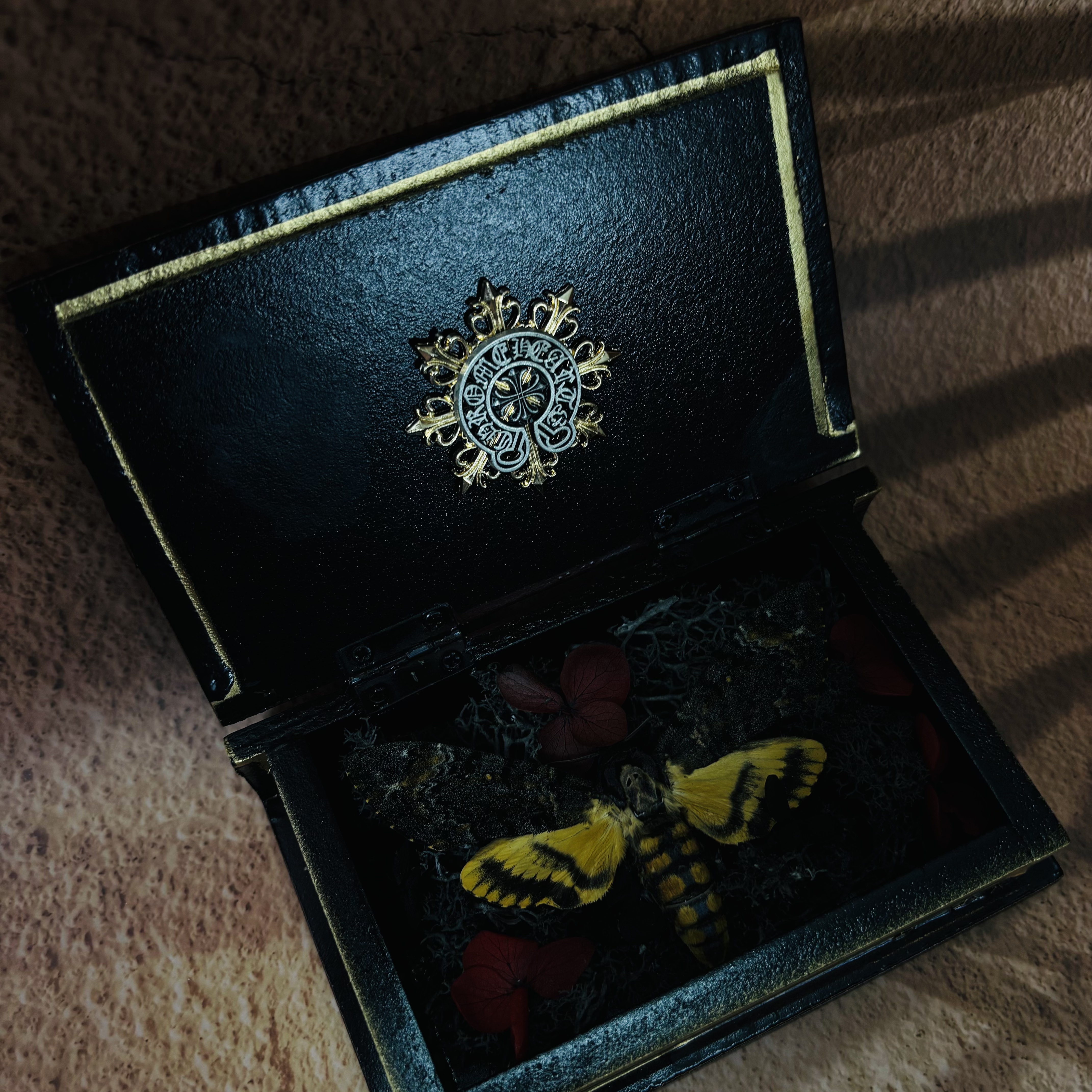 2051 Wholesale series 1/5/10pcs Death-headed Eagle Moth Gift Specimen Painting Gothic Art Creepy Weird Halloween Supplies Silent Lamb