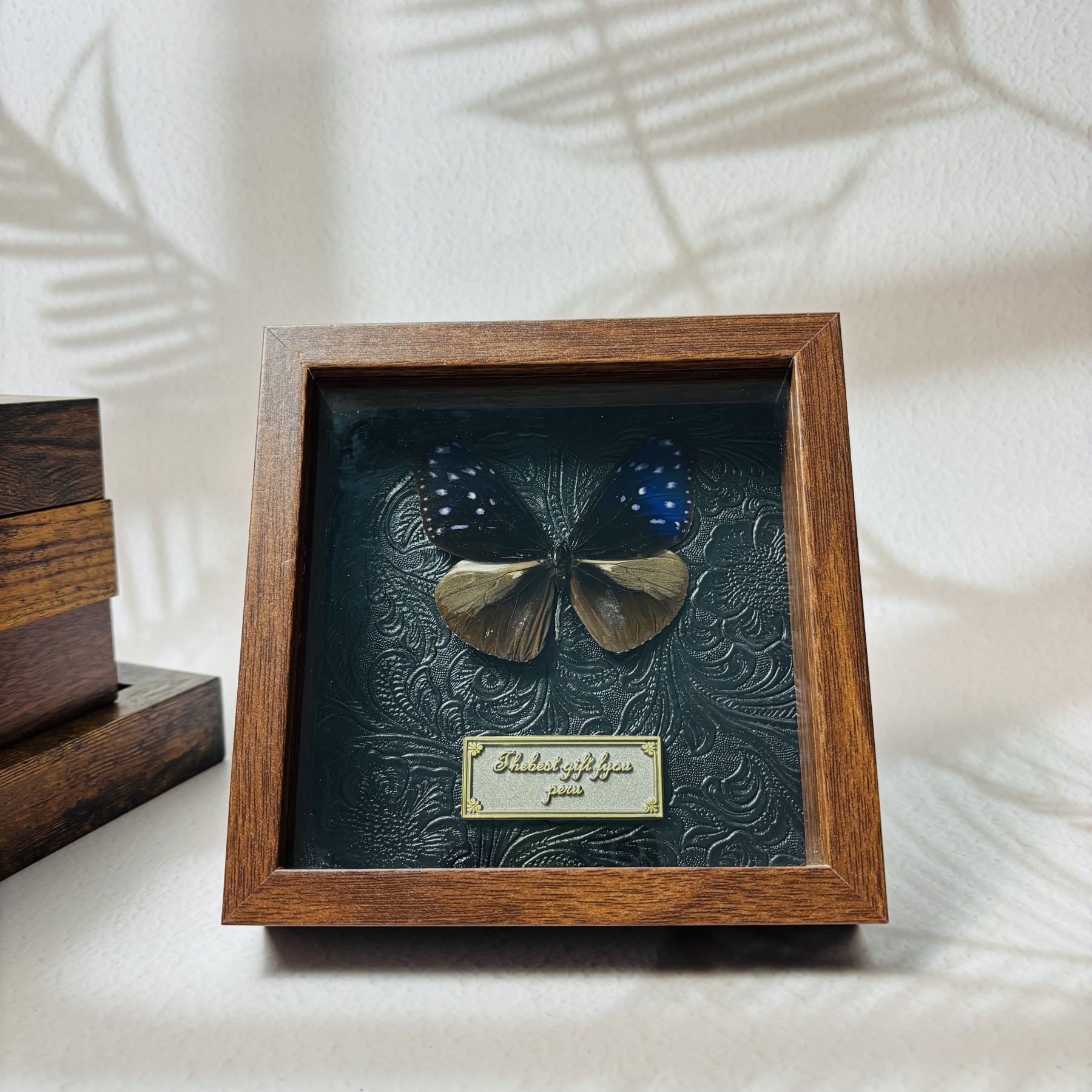 2051 Wholesale series 1/5/10pcs Death-headed Eagle Moth Gift Specimen Painting Gothic Art Creepy Weird Halloween Supplies Silent Lamb