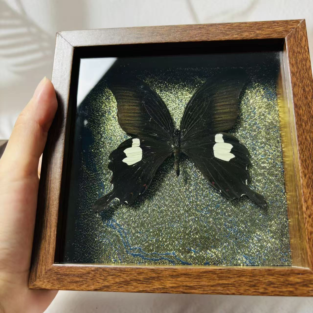 2051 Wholesale series 1/5/10pcs Death-headed Eagle Moth Gift Specimen Painting Gothic Art Creepy Weird Halloween Supplies Silent Lamb