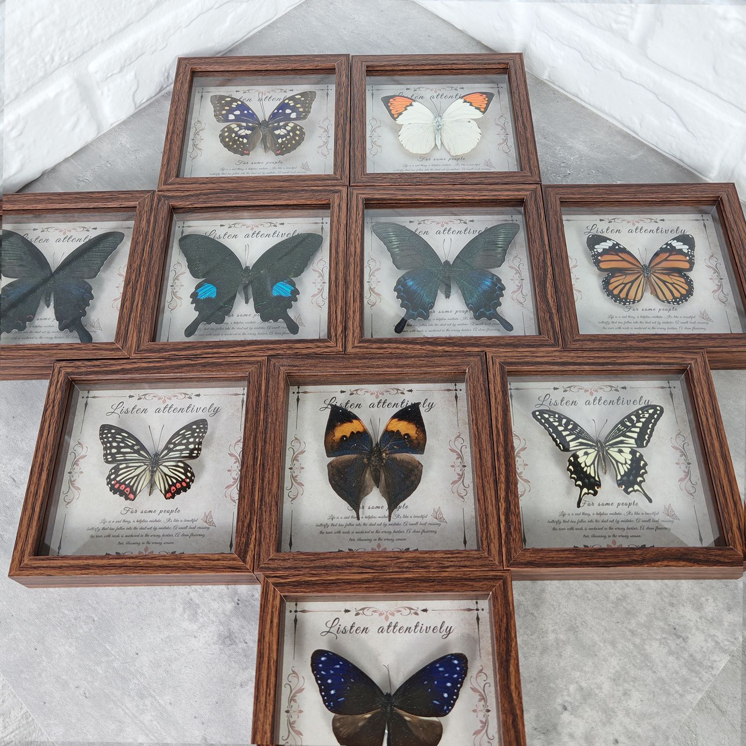 2103 Wholesale Butterfly Specimen Painting 3D Framed Shadow Box Wall Art Birthday Wedding Gift Christmas Halloween Party Decor