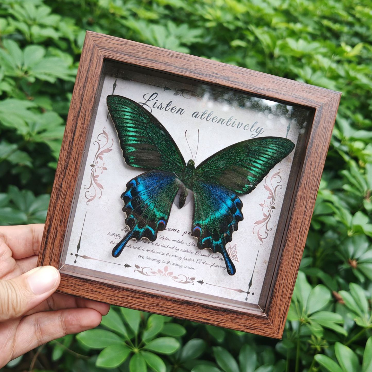 2103 Wholesale Butterfly Specimen Painting 3D Framed Shadow Box Wall Art Birthday Wedding Gift Christmas Halloween Party Decor