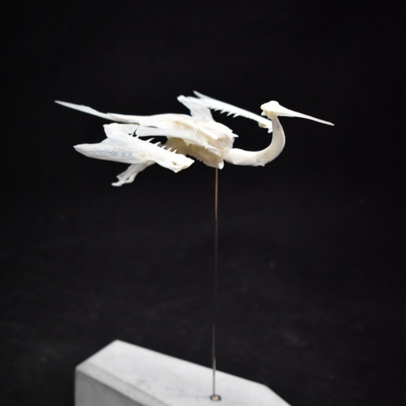 2008 Taxidermy Artificial Bone Crane Figurine Craft Sculpture Oriental Home Decor Spiritual Symbol Artifact Shelf Display Mythical Replica