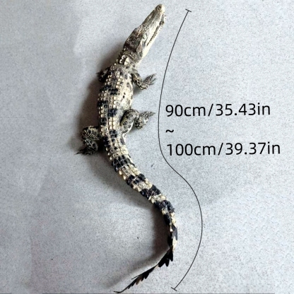 2200 Super 1M Crawling Crocodile Specimen Handmade Customized Dark Style Halloween Horror Resin Artwork Creative Birthday Gifts