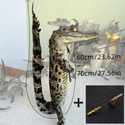 2200 Super 1M Crawling Crocodile Specimen Handmade Customized Dark Style Halloween Horror Resin Artwork Creative Birthday Gifts