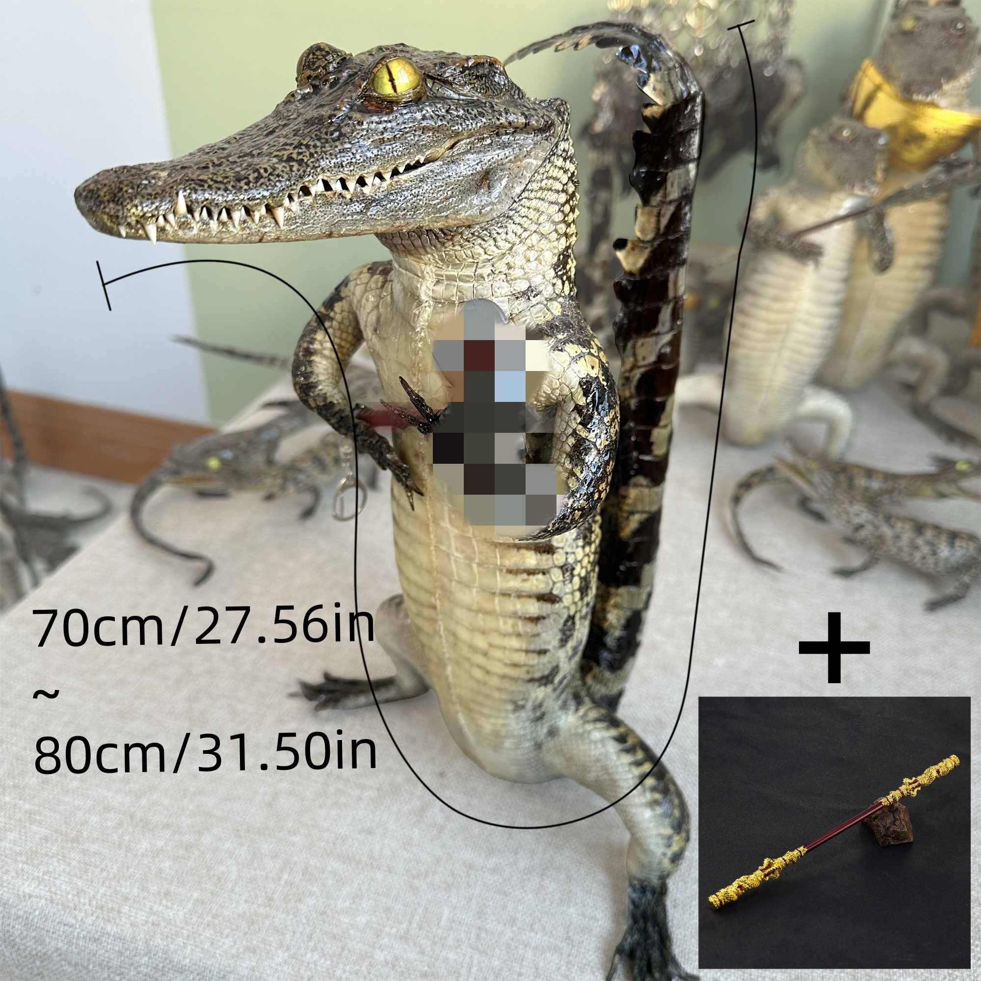 2200 Super 1M Crawling Crocodile Specimen Handmade Customized Dark Style Halloween Horror Resin Artwork Creative Birthday Gifts