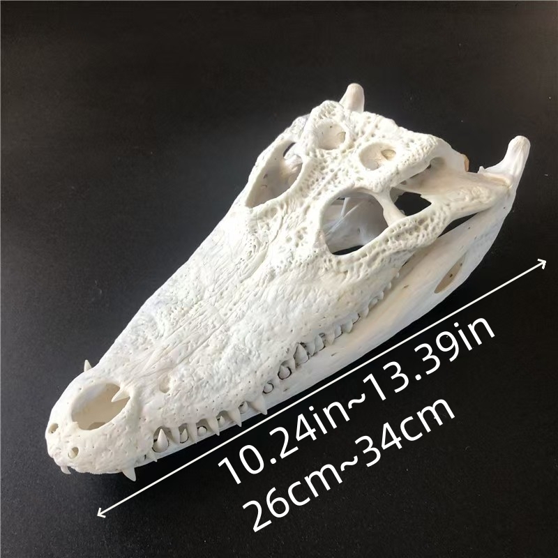 2128 Wholesale 1/5/10 Pcs Gothic Alligator Animal Skull Taxidermy Decor Figurines Horror Craft Ornament Gift for Halloween Christmas Party