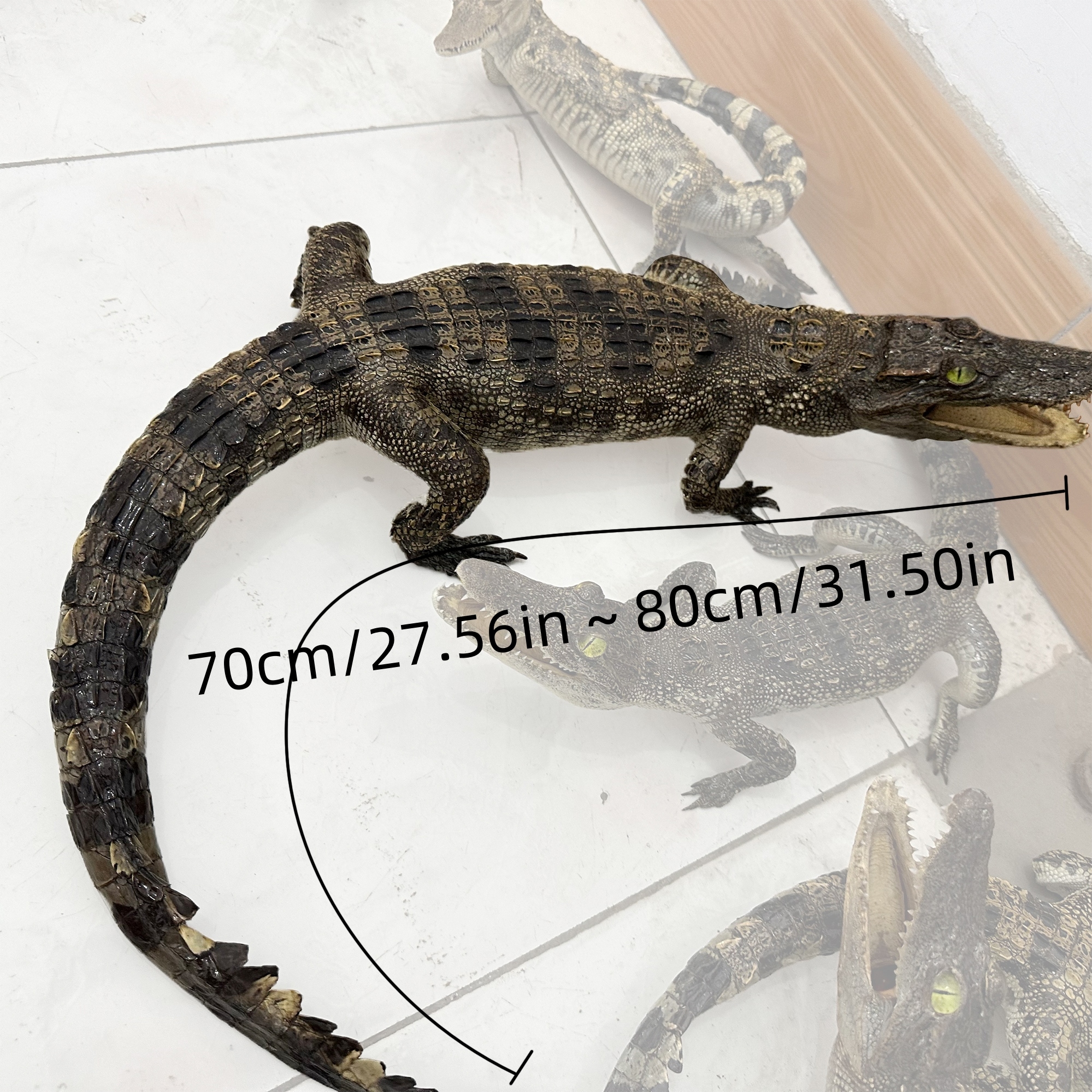 2200 Super 1M Crawling Crocodile Specimen Handmade Customized Dark Style Halloween Horror Resin Artwork Creative Birthday Gifts