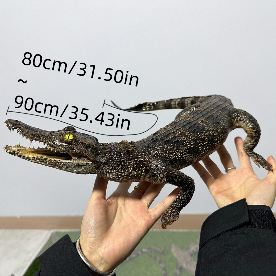 2200 Super 1M Crawling Crocodile Specimen Handmade Customized Dark Style Halloween Horror Resin Artwork Creative Birthday Gifts