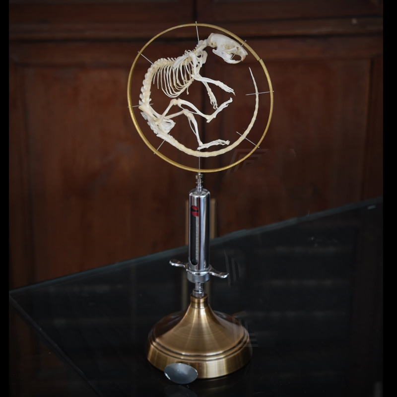 2046 Vintage Gothic Style Curled Mouse Skeleton Art Sculpture for Home Decor Needle Tube Display Halloween party supplies