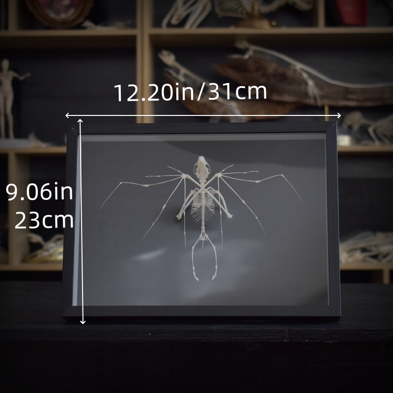 2126 Boutique series Bat Skeleton Art Wall Decor Gothic Home Display Frame Ethical Craft Non-Toxic Animal-Friendly Nocturnal Gothic Decor