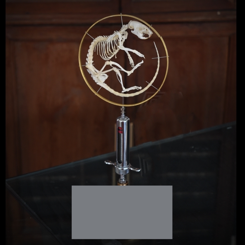 2046 Vintage Gothic Style Curled Mouse Skeleton Art Sculpture for Home Decor Needle Tube Display Halloween party supplies