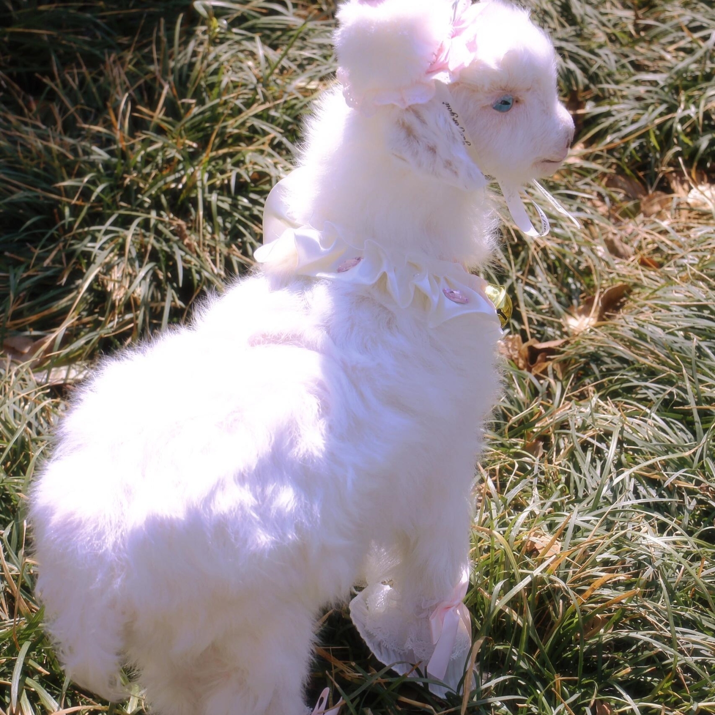 2121 Boutique series Handmade Sweet Lamb Taxidermy Display Gothic Farmhouse Decor Collector's Curio Odorless Global Express Creative Gift