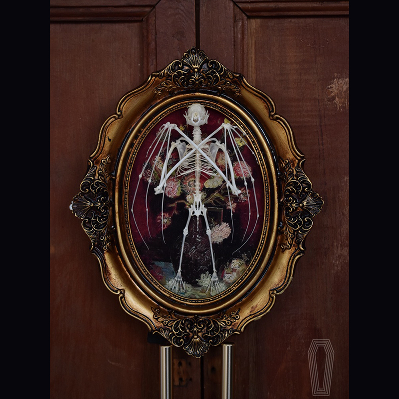 2122 Boutique series Gothic Coffin Photo Frame Bat Skeleton Craft Steampunk Wall Display Ethical Educational Specimen Animal