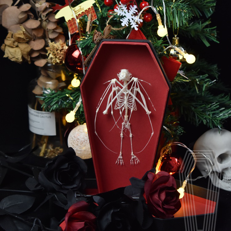 2123 Boutique series Gothic Coffin Box Bat Skeleton Craft Steampunk Wall Decor Ethical Educational Display Animal Parts Gothic Gift