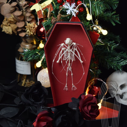 2123 Boutique series Gothic Coffin Box Bat Skeleton Craft Steampunk Wall Decor Ethical Educational Display Animal Parts Gothic Gift