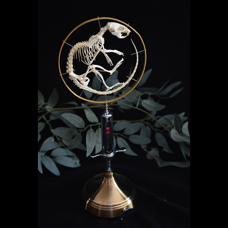 2046 Vintage Gothic Style Curled Mouse Skeleton Art Sculpture for Home Decor Needle Tube Display Halloween party supplies