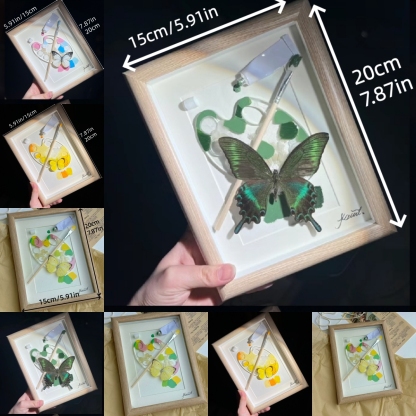 2153 Boutique series Real Green Papilio Maackii Butterfly Specimen Hand Painted Art Shadow Box Framed Entomology Display Unique Home Decor Wall Art Gift for Nature Lover