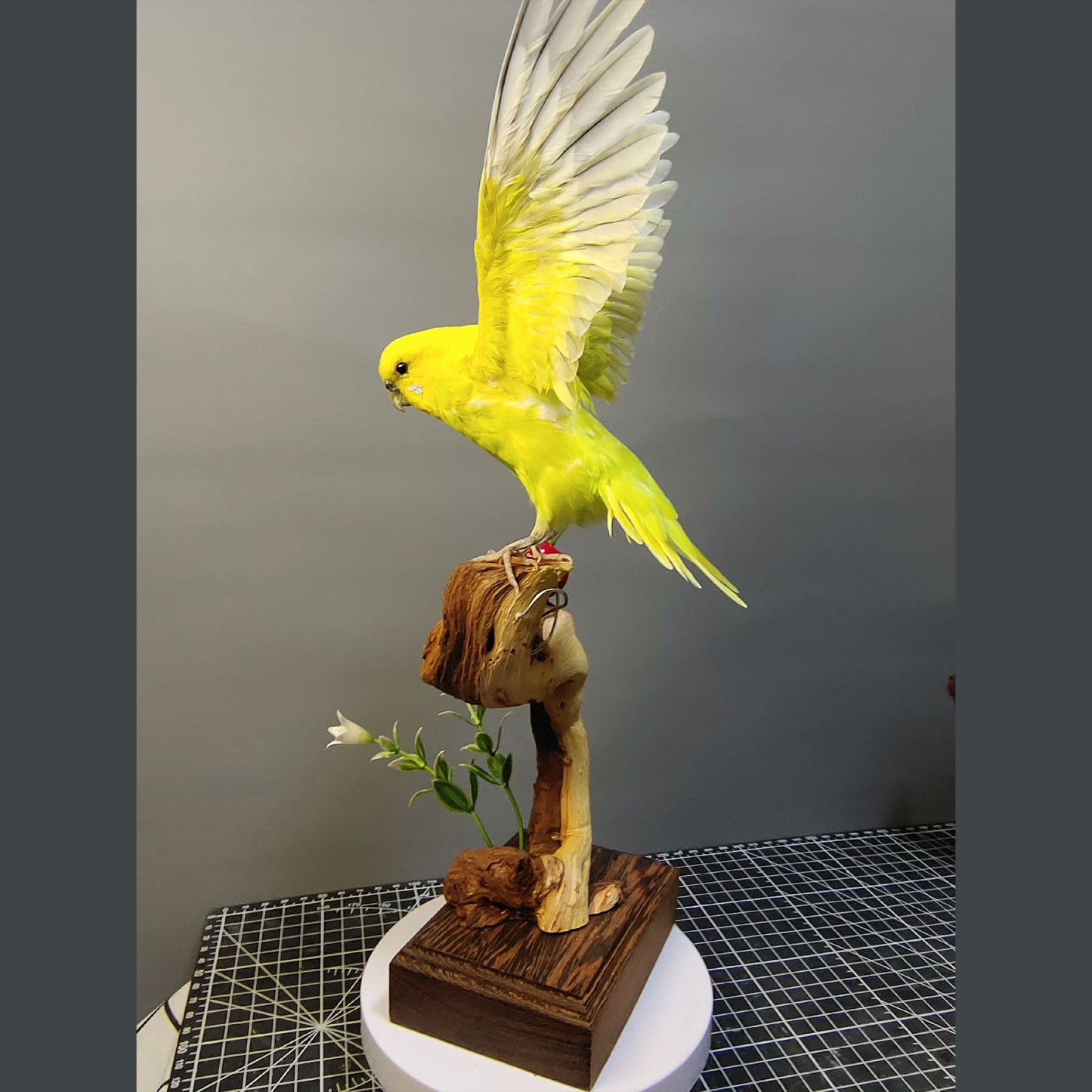 2055 Boutique series Handmade Bird Sculpture Art Home Decor Unique Animal Statue Creative Craft Collection for Wedding Christmas Halloween Gift