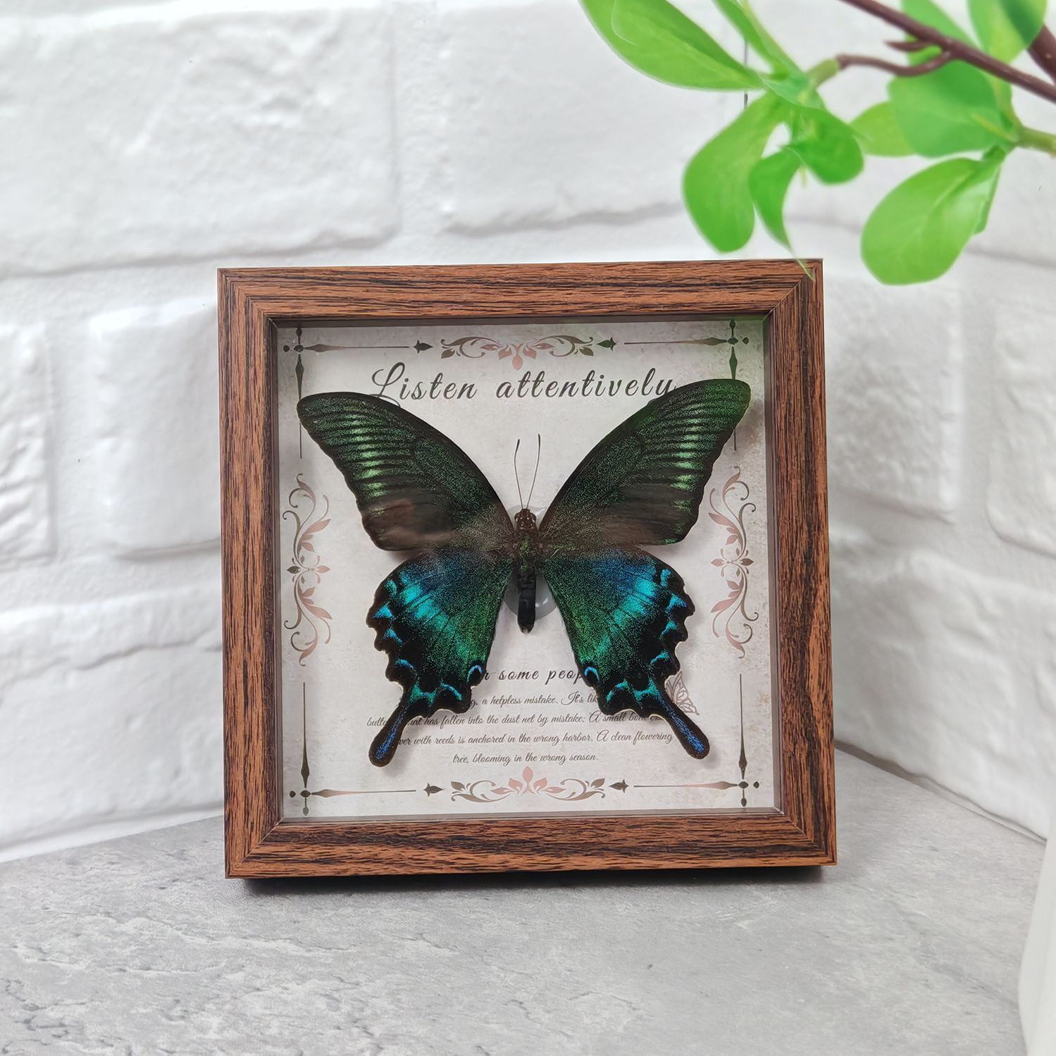 2103 Wholesale Butterfly Specimen Painting 3D Framed Shadow Box Wall Art Birthday Wedding Gift Christmas Halloween Party Decor