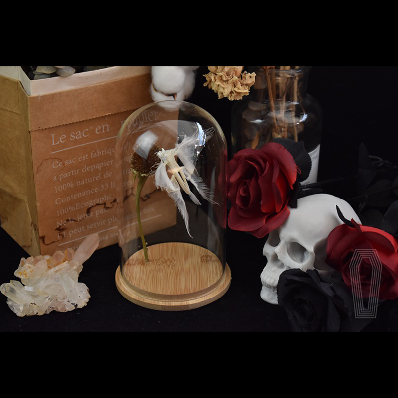 2110 Boutique series Butterfly Skeleton Art Sculpture Natural History Display Biological Craft 3D Wall Decor Unique Collector Gift