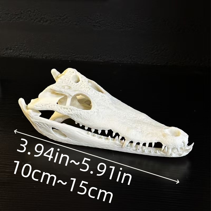 2128 Wholesale 1/5/10 Pcs Gothic Alligator Animal Skull Taxidermy Decor Figurines Horror Craft Ornament Gift for Halloween Christmas Party