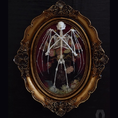 2122 Boutique series Gothic Coffin Photo Frame Bat Skeleton Craft Steampunk Wall Display Ethical Educational Specimen Animal
