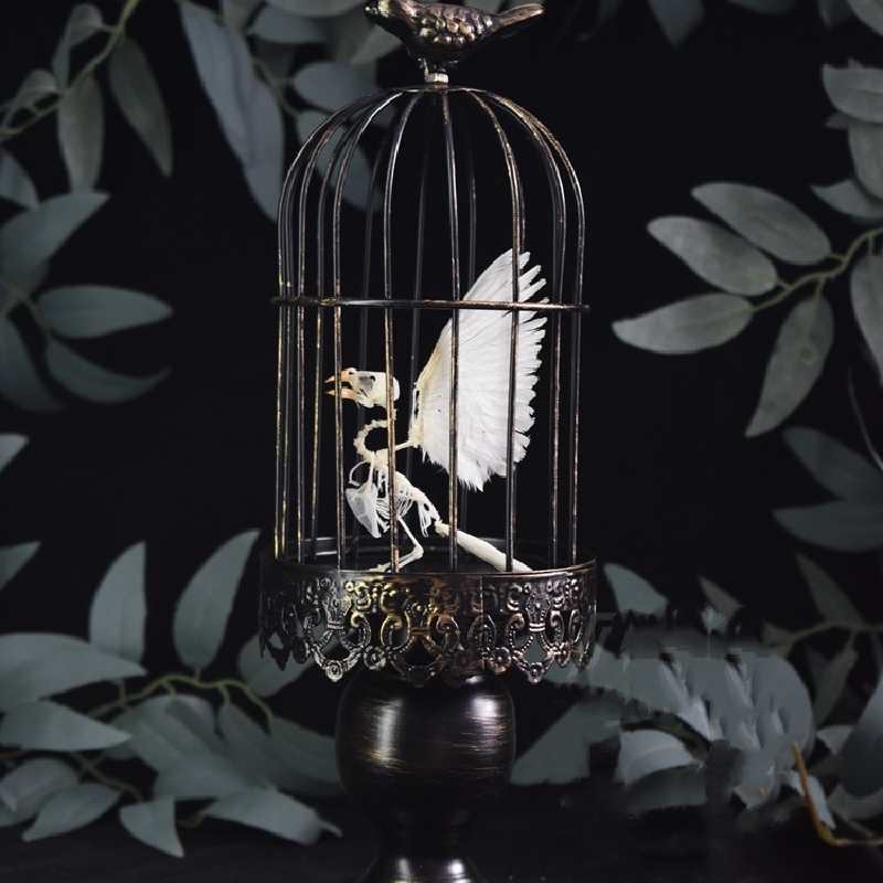 2001 Lifelike Avian Skeleton Replica Resin Cast Gothic Biology Study Non-Biological Specimen Dark Academia Decor Ethical