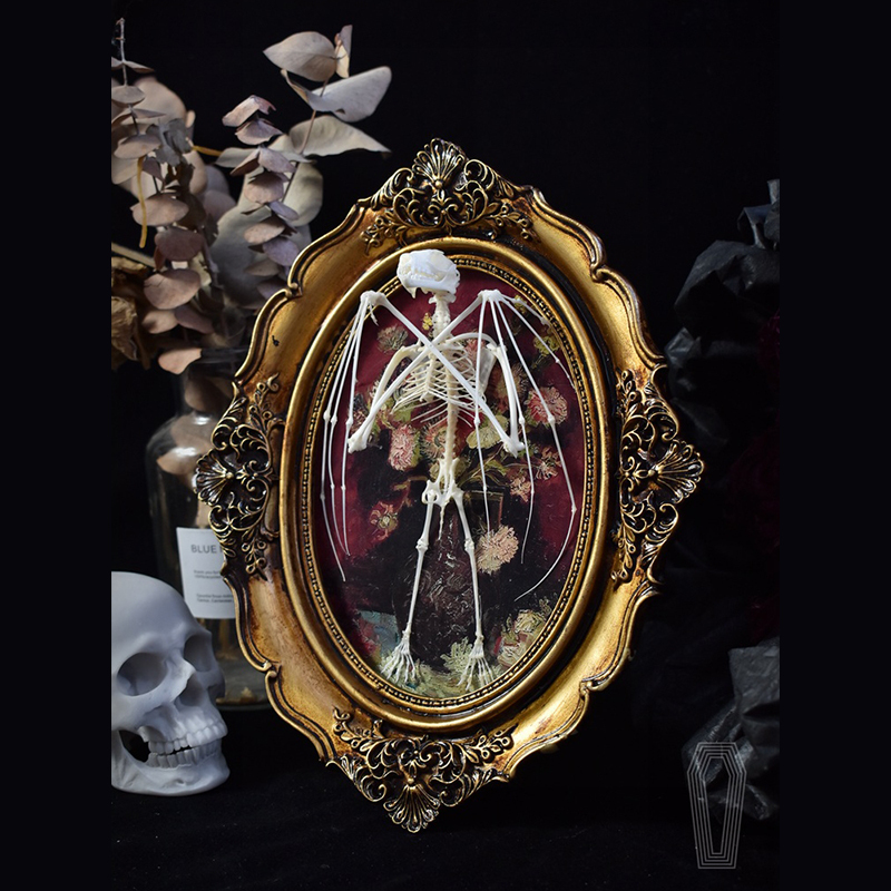 2122 Boutique series Gothic Coffin Photo Frame Bat Skeleton Craft Steampunk Wall Display Ethical Educational Specimen Animal