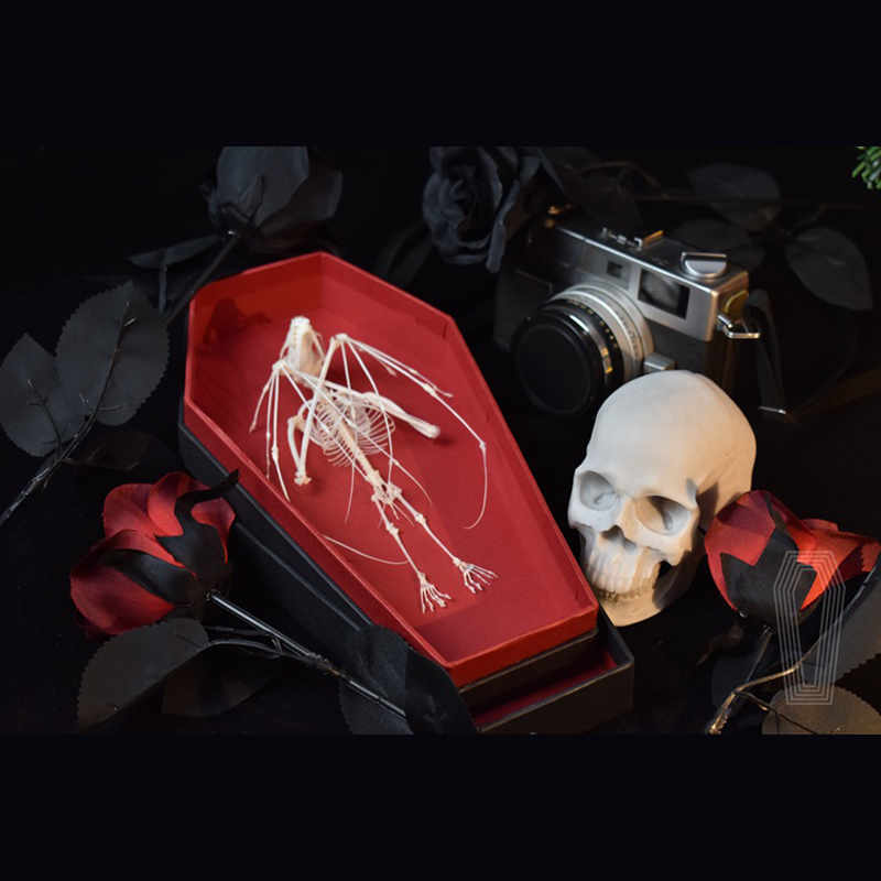 2123 Boutique series Gothic Coffin Box Bat Skeleton Craft Steampunk Wall Decor Ethical Educational Display Animal Parts Gothic Gift