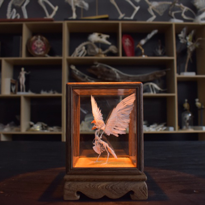 2127 Boutique series Pearl Bird Skeleton model Art Display Case Art Gothic Home Decor Ethical Craft Friendly Scientific As Halloween decor