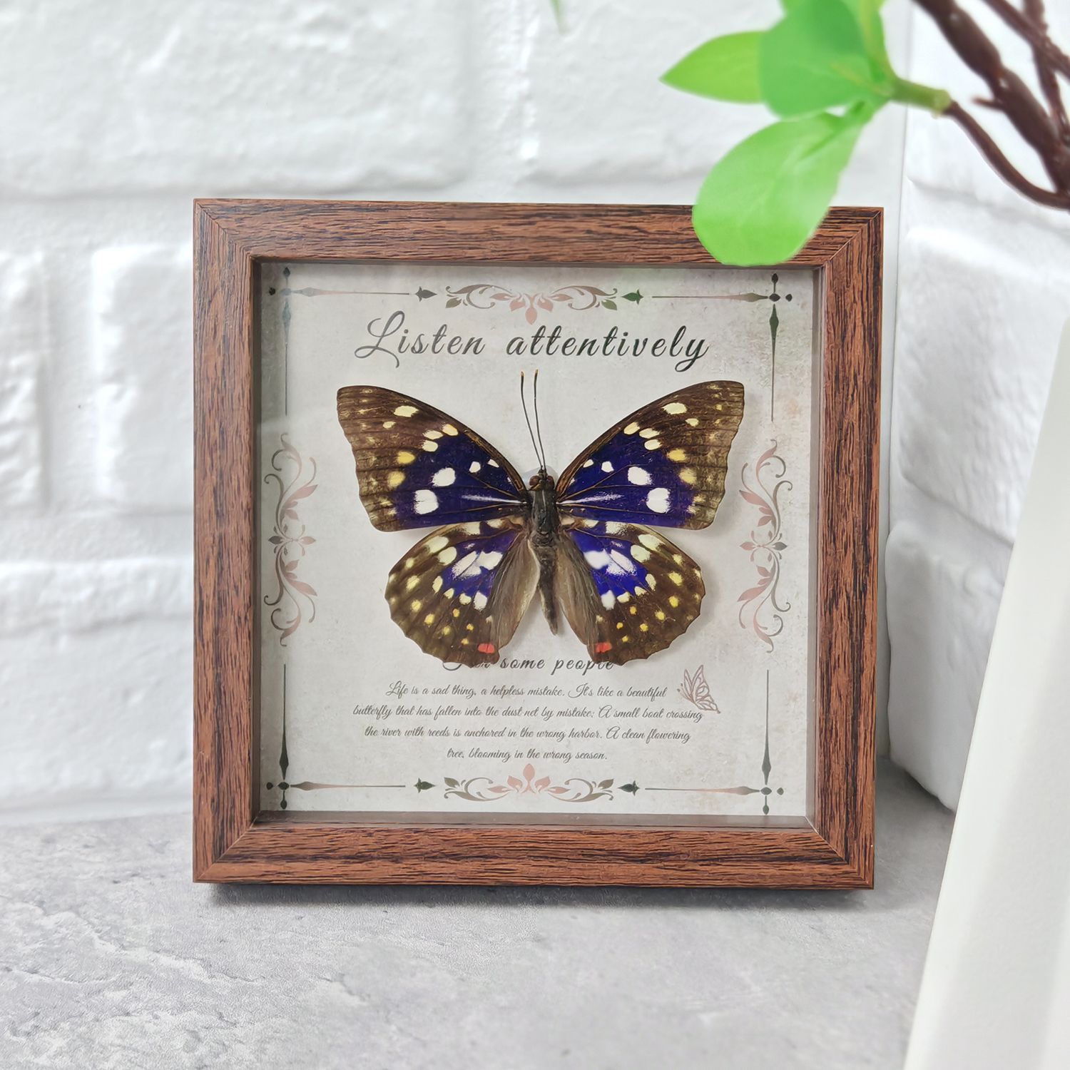 2103 Wholesale Butterfly Specimen Painting 3D Framed Shadow Box Wall Art Birthday Wedding Gift Christmas Halloween Party Decor