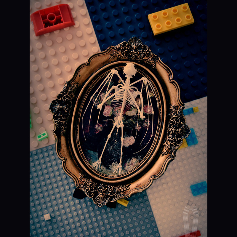 2122 Boutique series Gothic Coffin Photo Frame Bat Skeleton Craft Steampunk Wall Display Ethical Educational Specimen Animal