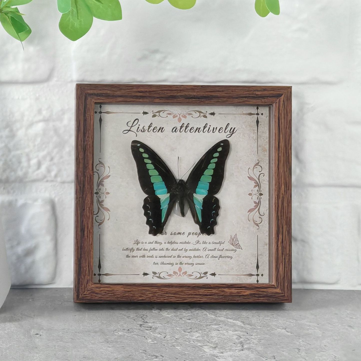 2103 Wholesale Butterfly Specimen Painting 3D Framed Shadow Box Wall Art Birthday Wedding Gift Christmas Halloween Party Decor