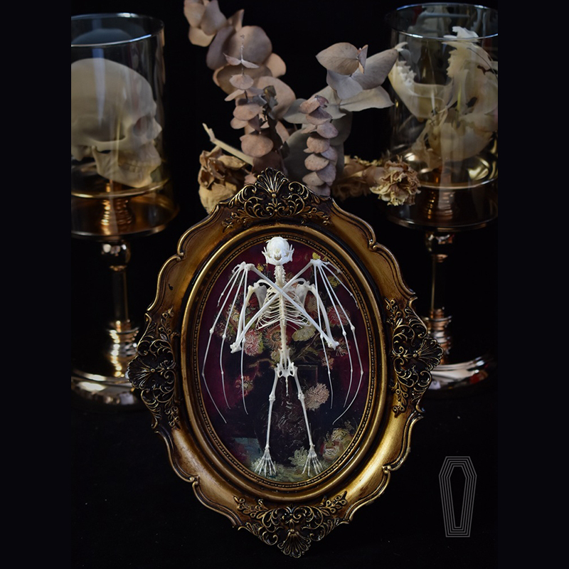 2122 Boutique series Gothic Coffin Photo Frame Bat Skeleton Craft Steampunk Wall Display Ethical Educational Specimen Animal