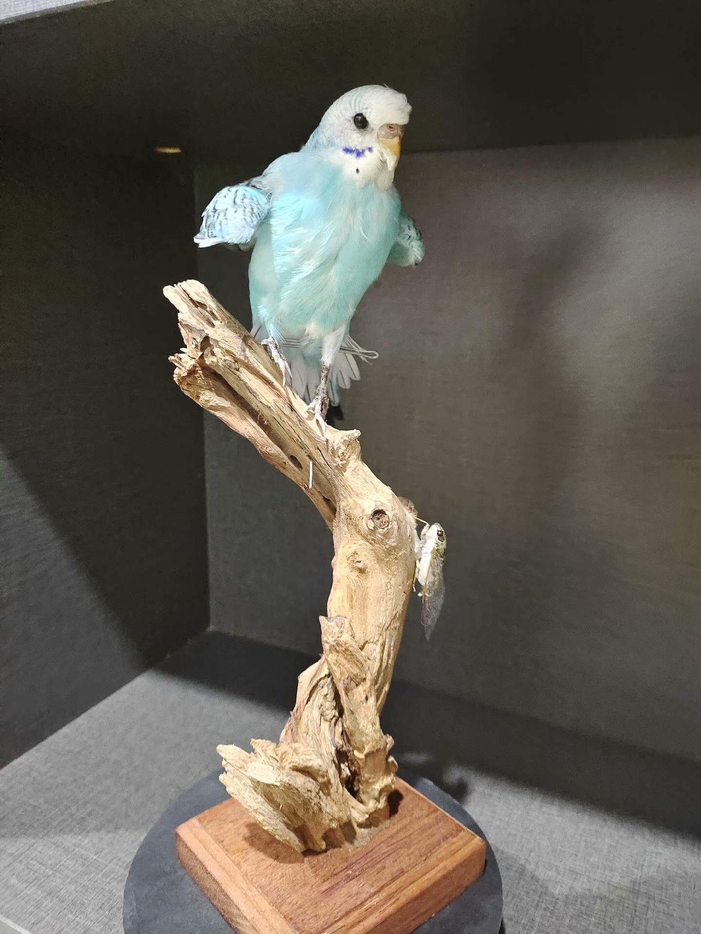 2055 Boutique series Handmade Bird Sculpture Art Home Decor Unique Animal Statue Creative Craft Collection for Wedding Christmas Halloween Gift