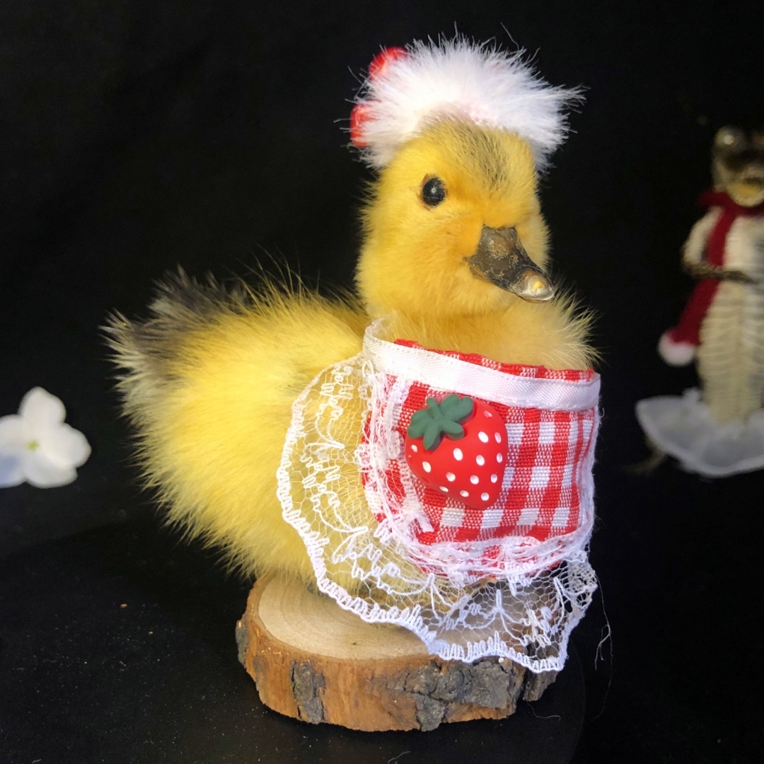 2068 Wholesale Chicken Duck Models for Wedding Decoration Christmas Halloween Party Ornament Science Teaching Props Figurines