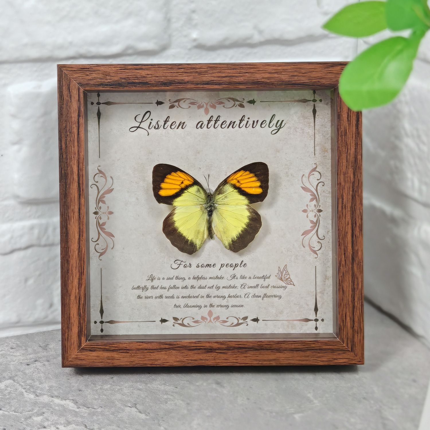 2103 Wholesale Butterfly Specimen Painting 3D Framed Shadow Box Wall Art Birthday Wedding Gift Christmas Halloween Party Decor