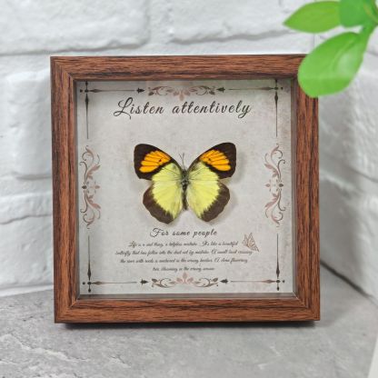 2103 Wholesale Butterfly Specimen Painting 3D Framed Shadow Box Wall Art Birthday Wedding Gift Christmas Halloween Party Decor