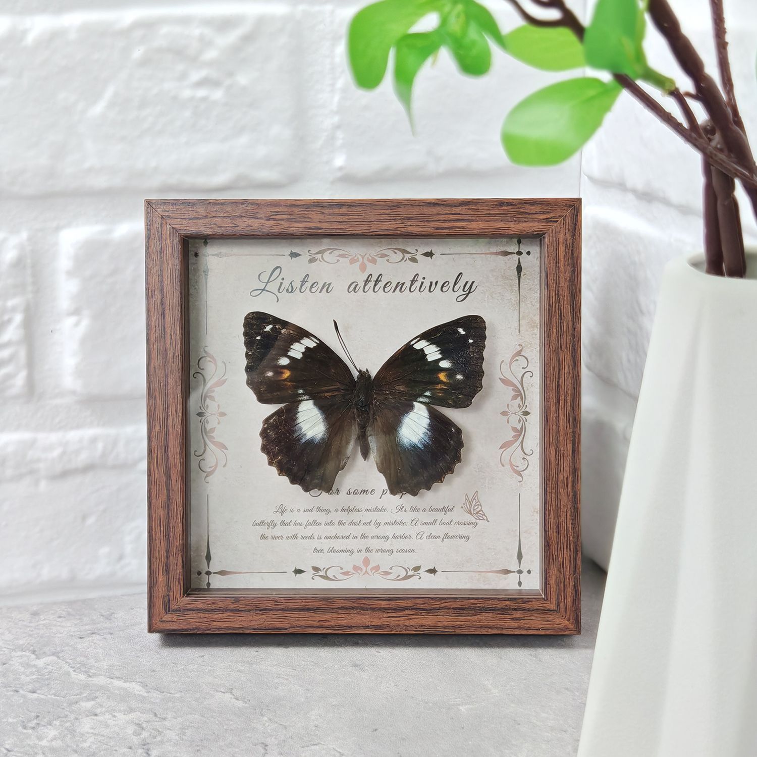 2103 Wholesale Butterfly Specimen Painting 3D Framed Shadow Box Wall Art Birthday Wedding Gift Christmas Halloween Party Decor