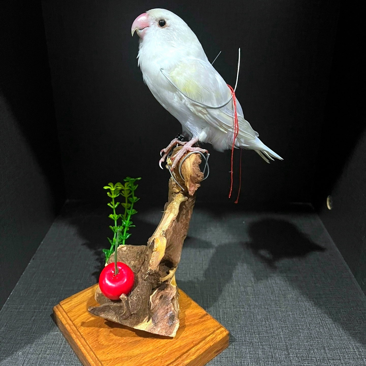 2055 Boutique series Handmade Bird Sculpture Art Home Decor Unique Animal Statue Creative Craft Collection for Wedding Christmas Halloween Gift