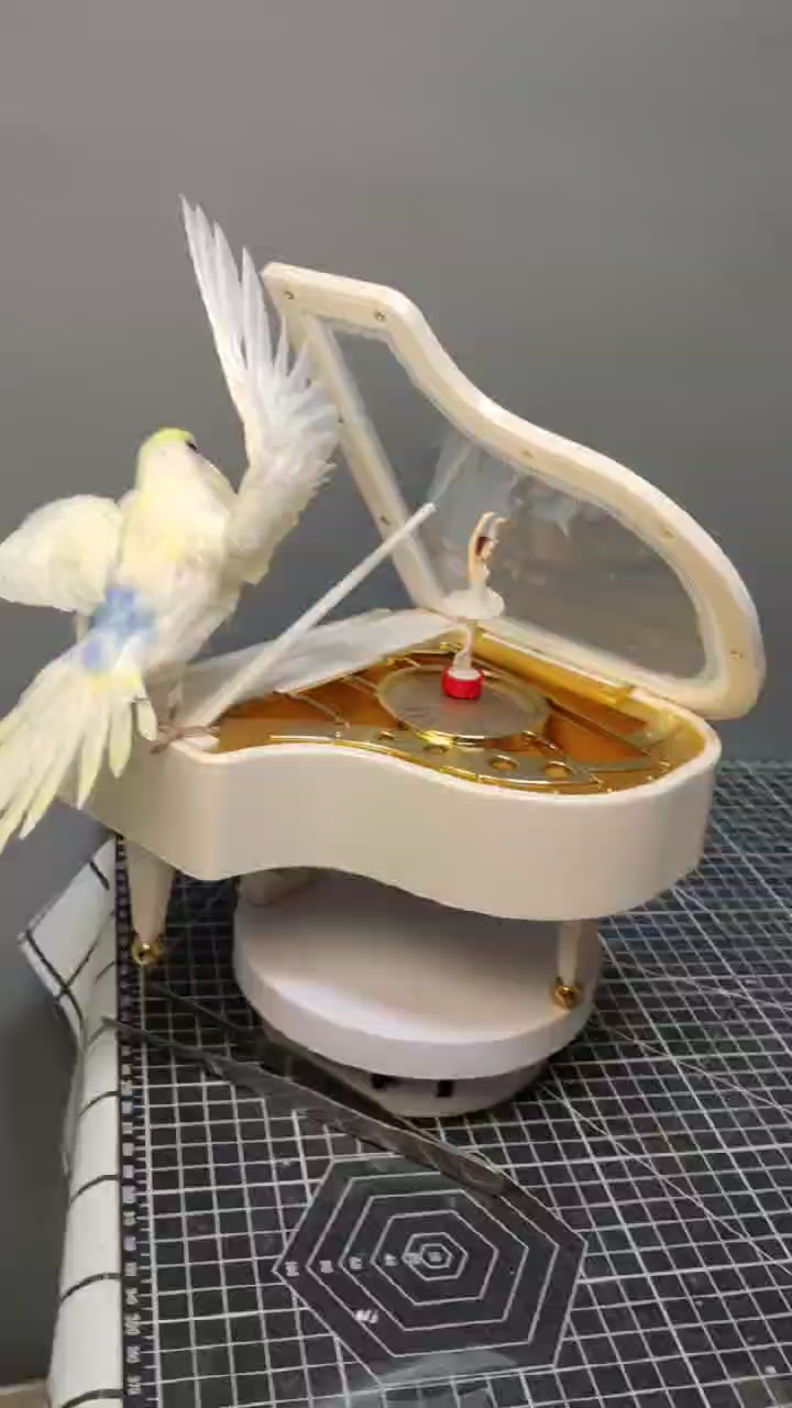 2010 Small bird taxidermy Colorful Dancing Parrot Resin Art Decor with Piano Music Box Handmade Craft Gift for Home Office Christmas Birthday Party