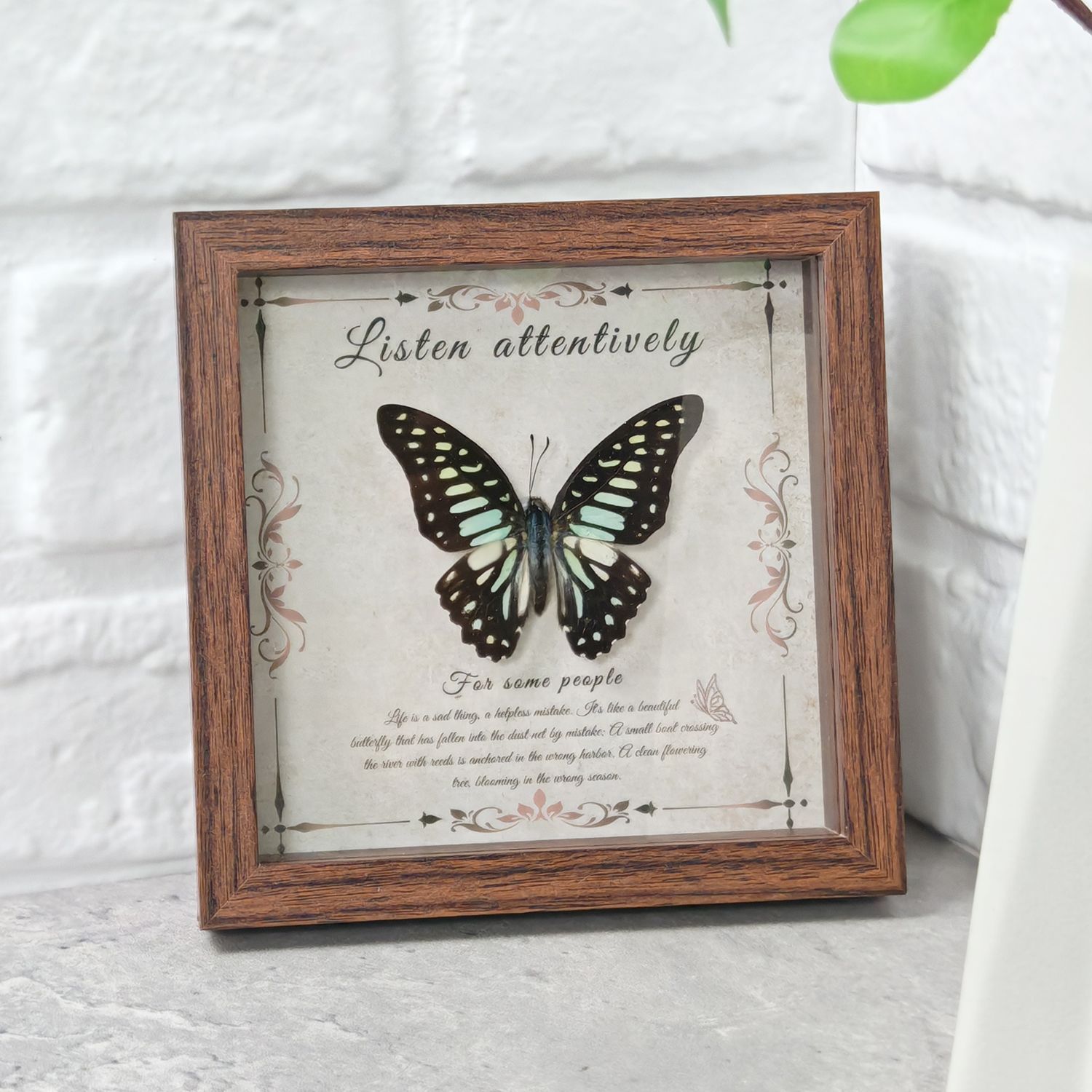 2103 Wholesale Butterfly Specimen Painting 3D Framed Shadow Box Wall Art Birthday Wedding Gift Christmas Halloween Party Decor