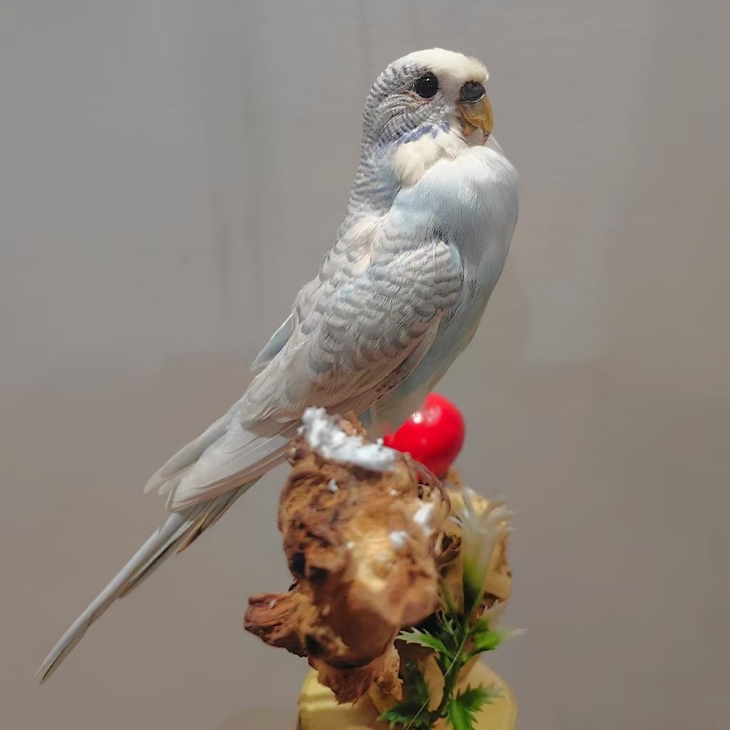 2055 Boutique series Handmade Bird Sculpture Art Home Decor Unique Animal Statue Creative Craft Collection for Wedding Christmas Halloween Gift