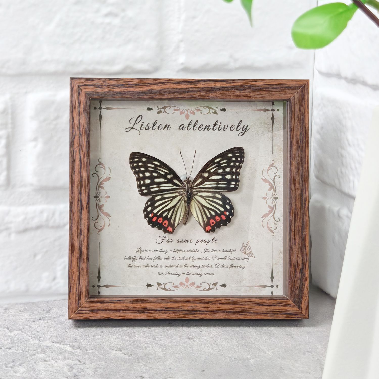 2103 Wholesale Butterfly Specimen Painting 3D Framed Shadow Box Wall Art Birthday Wedding Gift Christmas Halloween Party Decor
