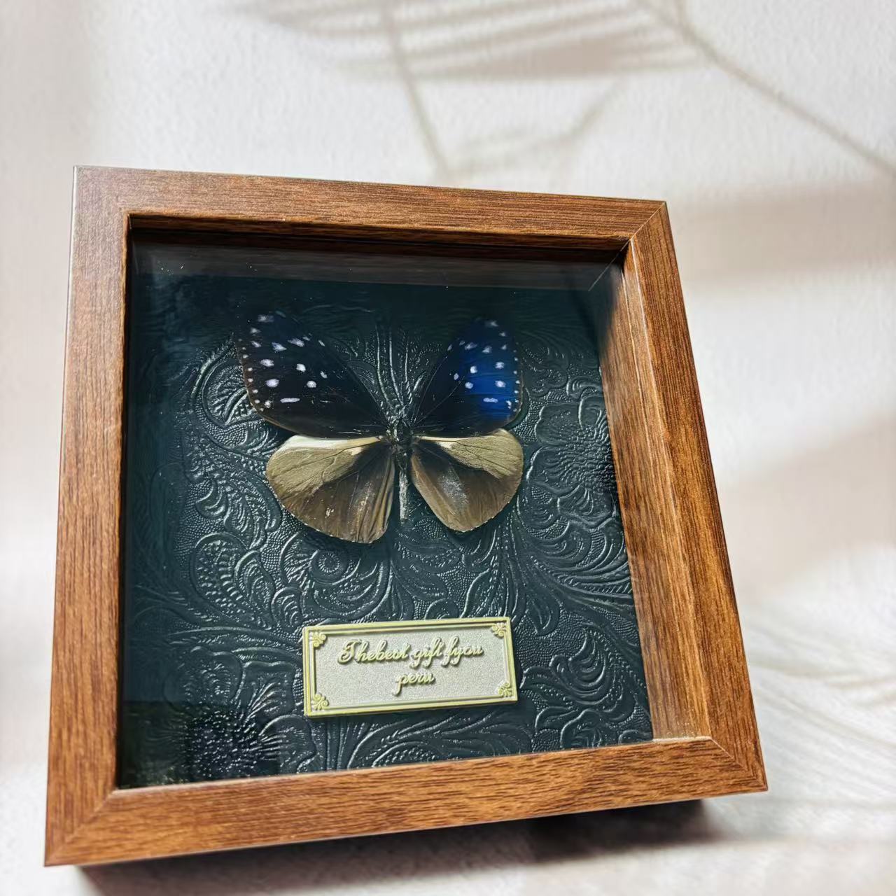 2051 Wholesale series 1/5/10pcs Death-headed Eagle Moth Gift Specimen Painting Gothic Art Creepy Weird Halloween Supplies Silent Lamb