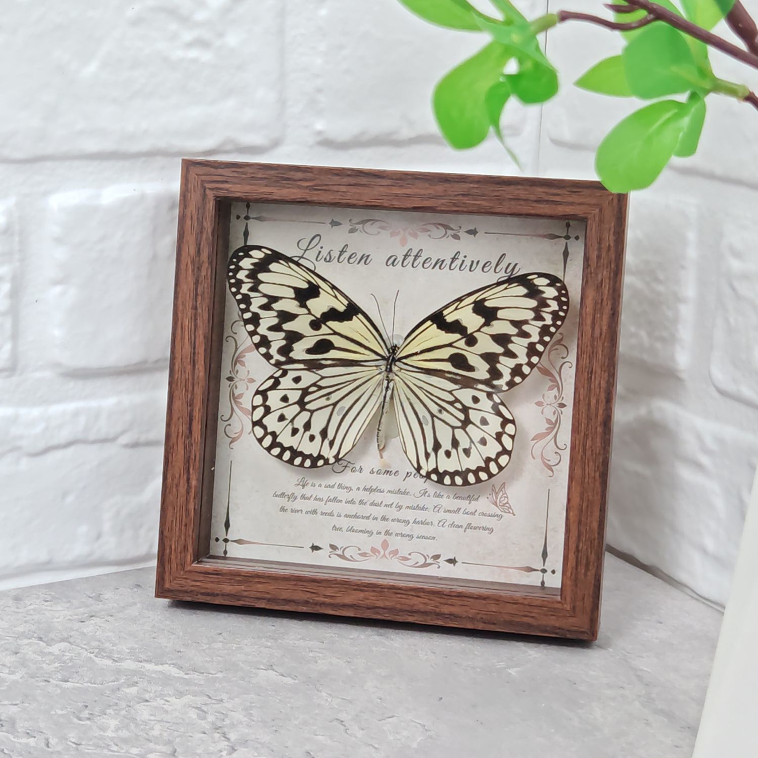 2103 Wholesale Butterfly Specimen Painting 3D Framed Shadow Box Wall Art Birthday Wedding Gift Christmas Halloween Party Decor