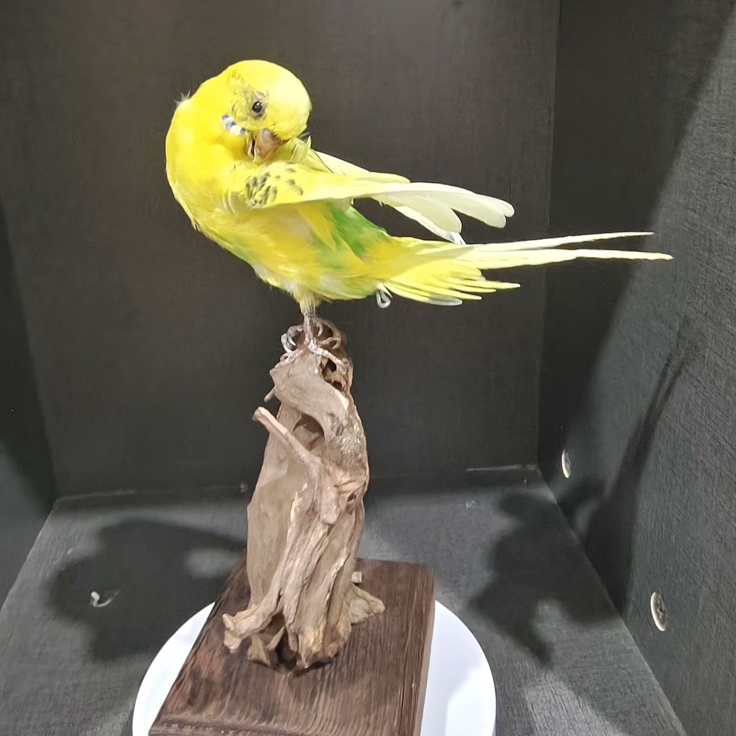 2055 Boutique series Handmade Bird Sculpture Art Home Decor Unique Animal Statue Creative Craft Collection for Wedding Christmas Halloween Gift