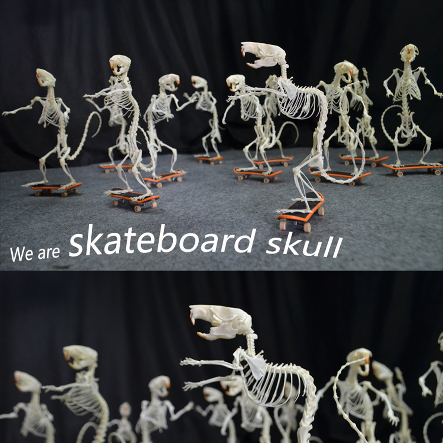 2022 Taxidermy Rodent Skeletal Art Urban Relic Display Gothic Skate Culture Bone Dynamics Artisan Replica Pink Mouse Ossuary Sculpture Art