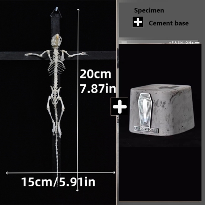 2025 Taxidermy Cruciform Rodent Skeletal Art Gothic Altar Relic Victorian Biology Study Bone Configuration Replica Pilgrim Mouse Ossuary